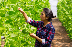 Recepción y gestión de quejas
